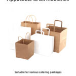 Paper Bag Custom Luxury Paper Shopping Bag with Ribbon Handle
