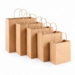 Paper Bag Custom Luxury Paper Shopping Bag with Ribbon Handle